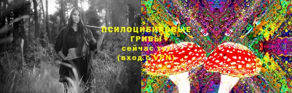 МДМА Дмитриев