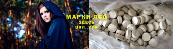 apvp Гусев