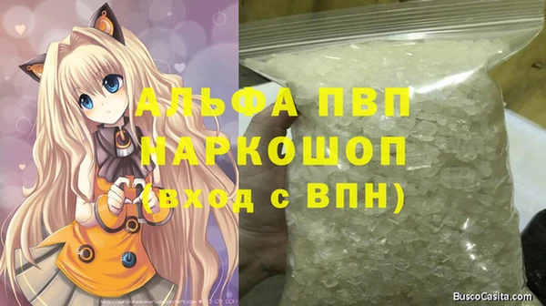 apvp Гусев