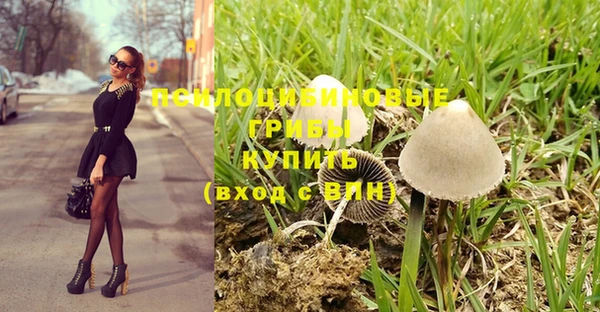 марки nbome Дмитровск