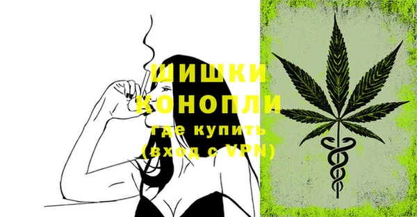 apvp Гусев